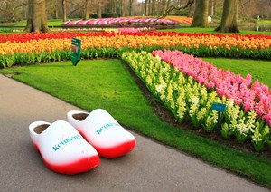 Keukenhof blomsterpark